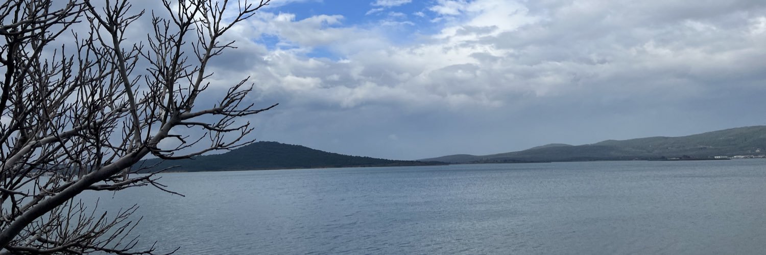 NesheeBiber's profile banner image