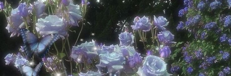 nectarinepython's profile banner image