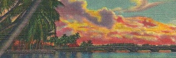 Chadmaxxing's banner