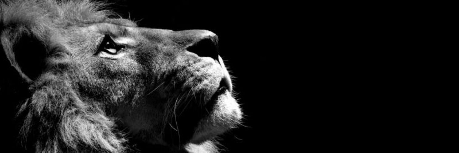 rschhh_'s profile banner image