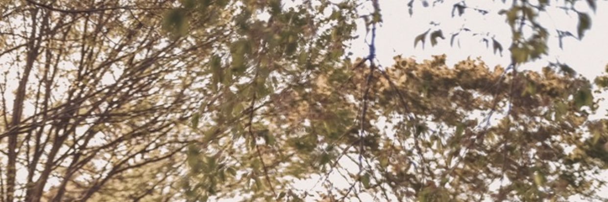 noethamrin's profile banner image