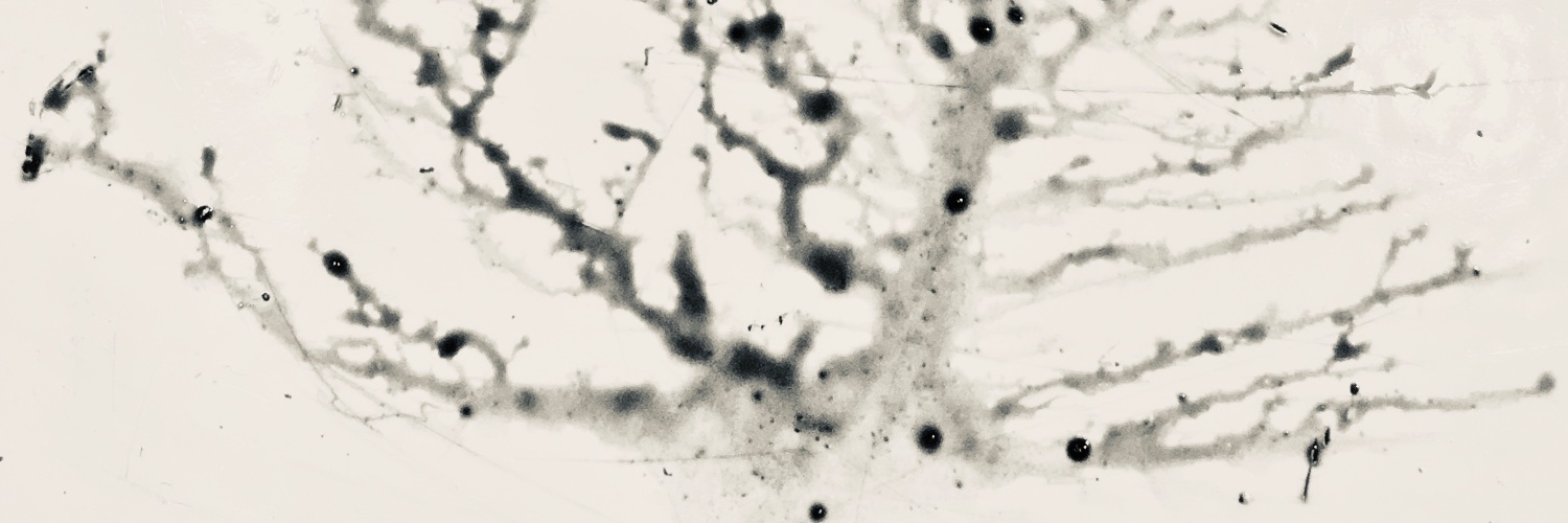 mrjordanrandom's profile banner image