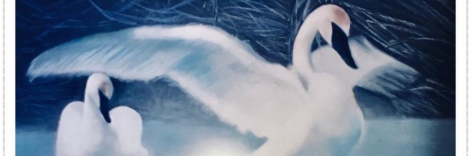 saroviluzma's profile banner image