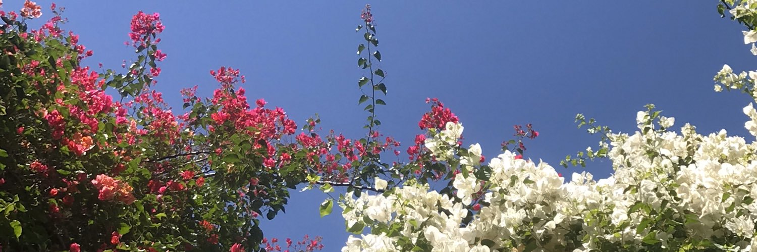 dancerlizzie's profile banner image