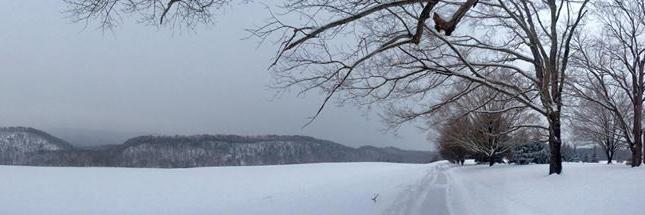 vavtach's profile banner image