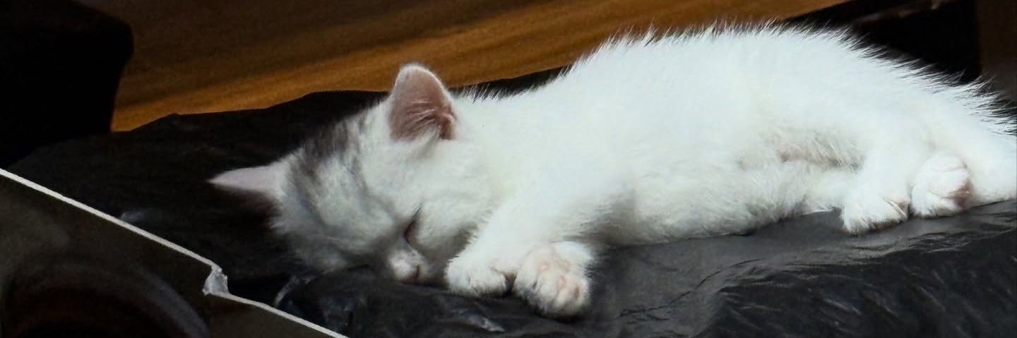 SnowL banner