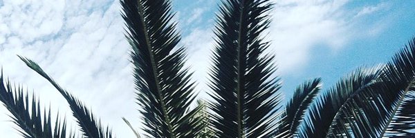 shainezelb Profile Banner