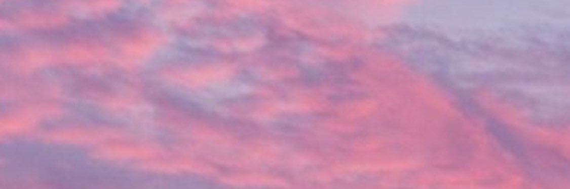 Tamarapb00's profile banner image
