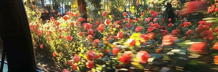 pixy 🧚‍♀️ banner