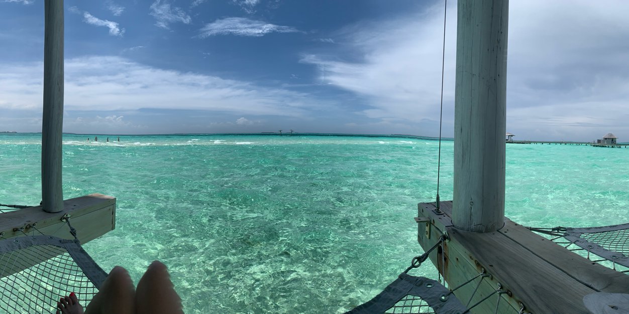 Annabel Rayer banner