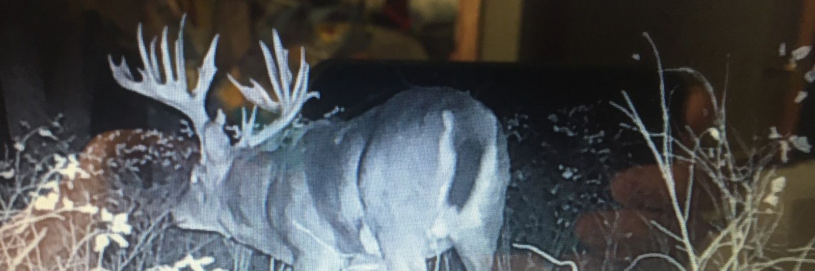 Bray_McCorry81's profile banner image