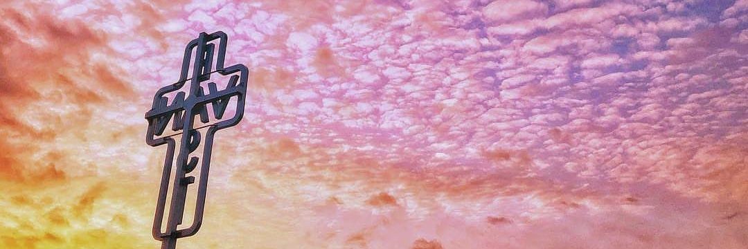 tiffanychui's profile banner image