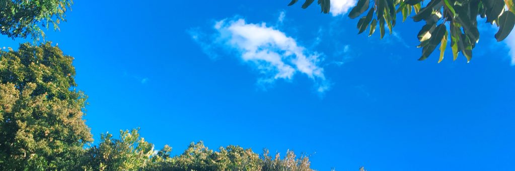 N banner