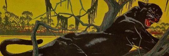 diabo de cropped banner