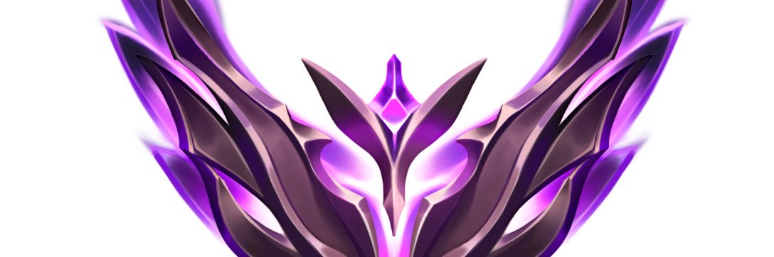 Spermatozorro banner