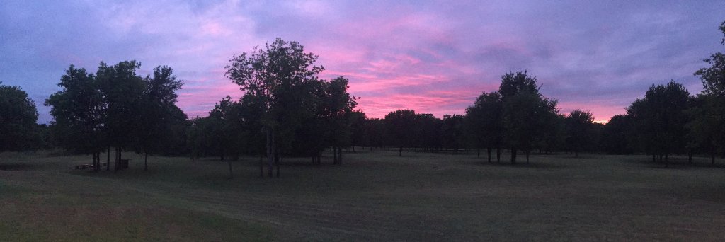 Drew Shedd, MD banner