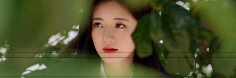 알카나 banner