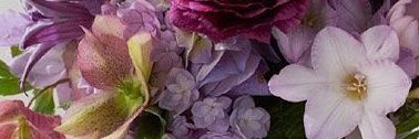 sama139300's profile banner image