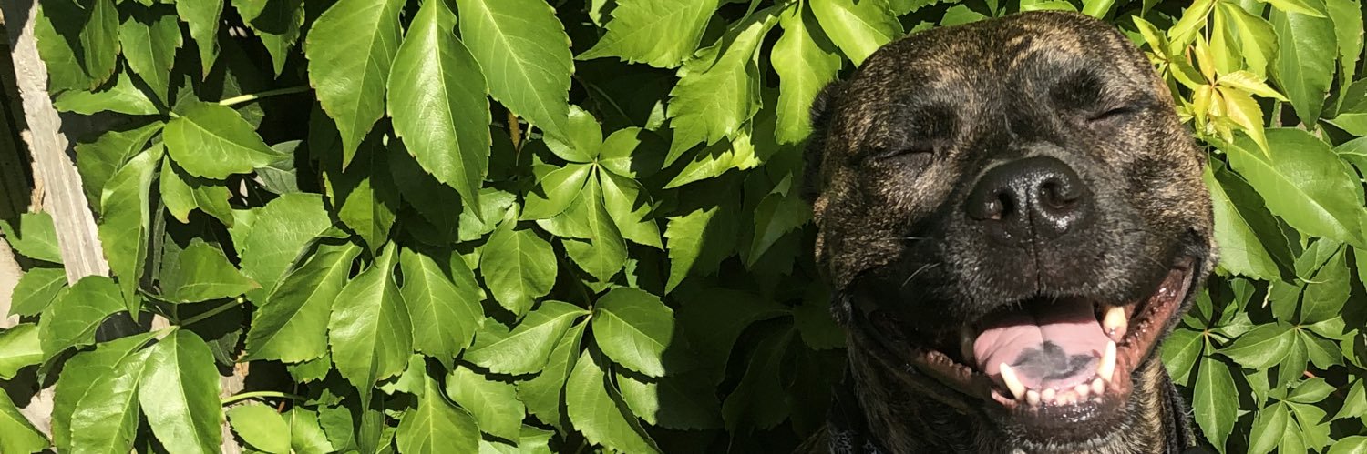 emilysgregory's profile banner image