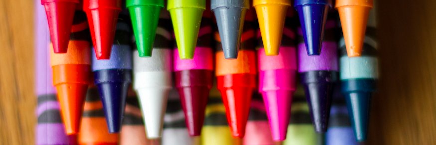 Sandy Tolbert banner