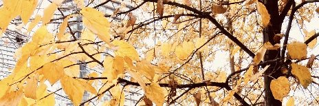 rob_titus's profile banner image