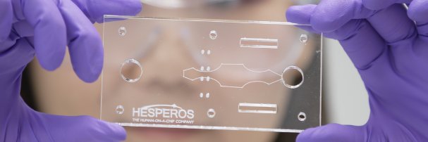 Hesperos, Inc.'s banner