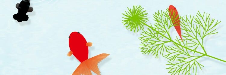 starrabbit's profile banner image