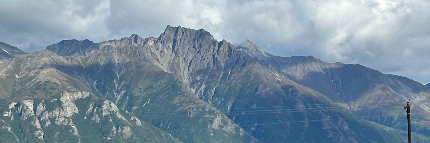 lesa_withane's profile banner image