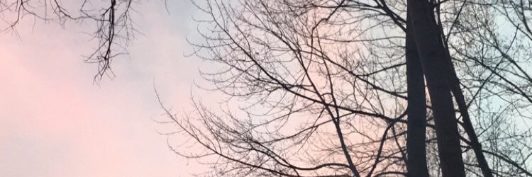 demiturnerrrr's profile banner image