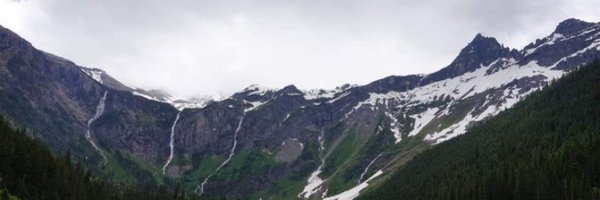 TaraWood29 Profile Banner