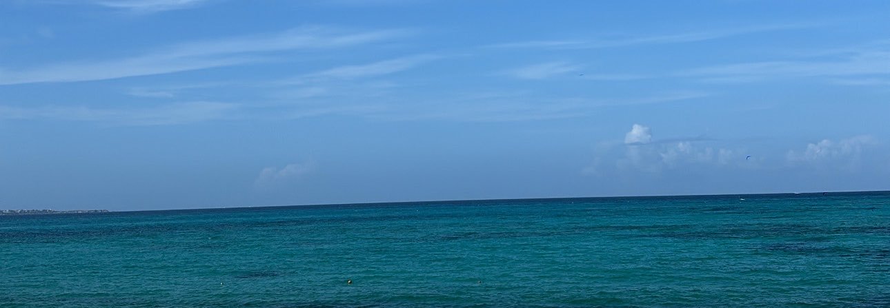 Caroooo_08's profile banner image