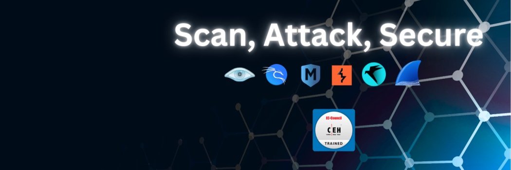 Cyber_Pontiff banner