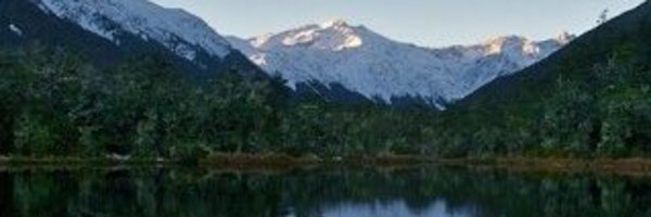 MsBert13 Profile Banner