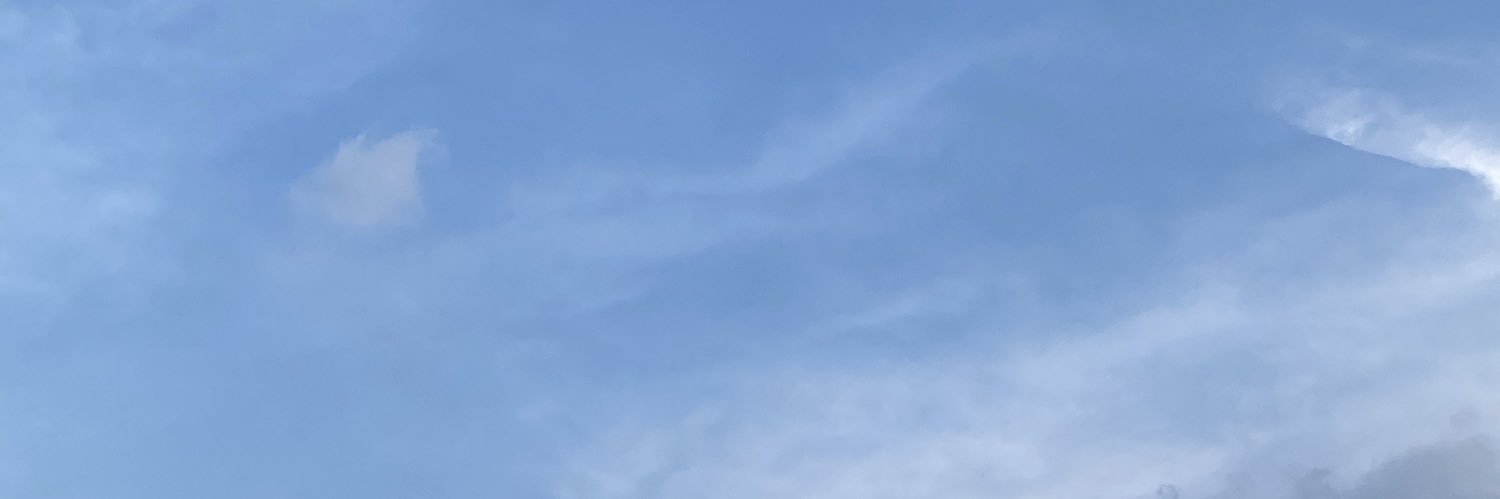 a_nn_n banner