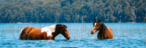 ferminrp Profile Banner
