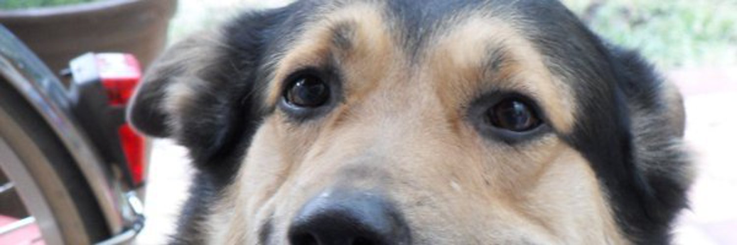 Umbre banner