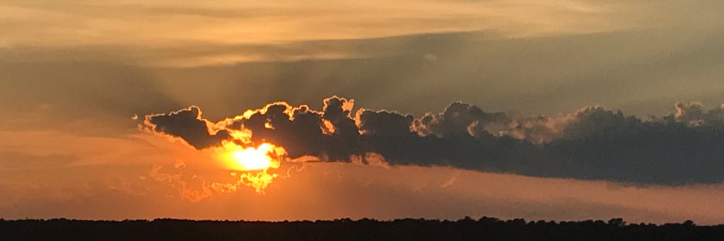 Noodlyness's profile banner image