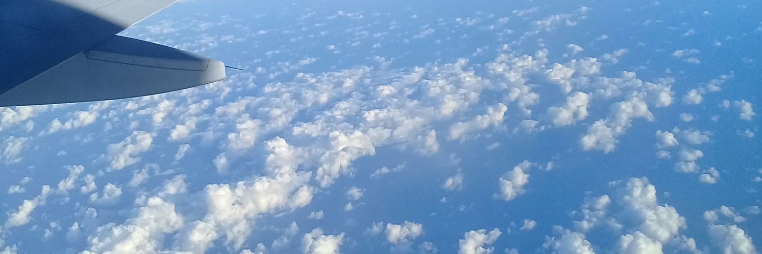 fancymany's profile banner image