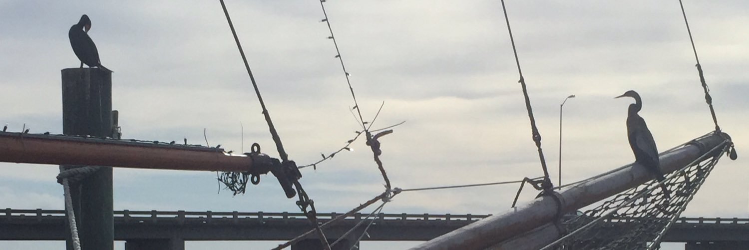 SLZinck's profile banner image