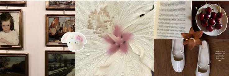 BASS26089452's profile banner image