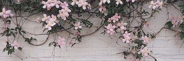 STEFY_L26's profile banner image