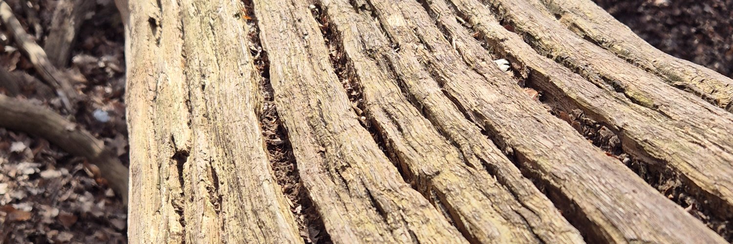 RalphDost's profile banner image