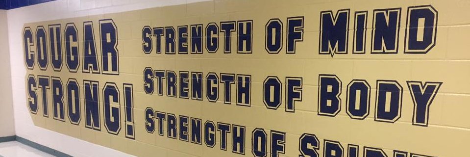 LongCaneMiddle's profile banner image