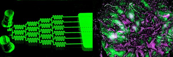 Dr_ASingh Profile Banner
