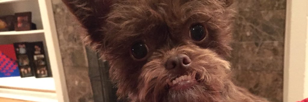 wkim83's profile banner image