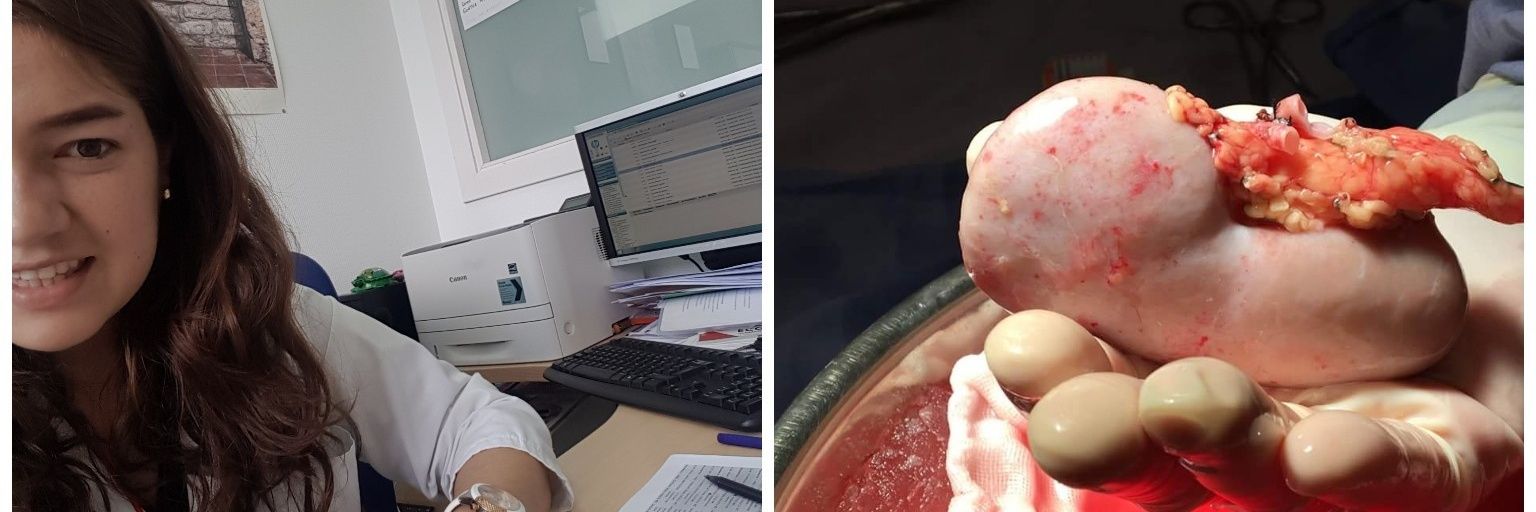 Anace Pastor ✨️ Renalis 🌷@Anace710 banner