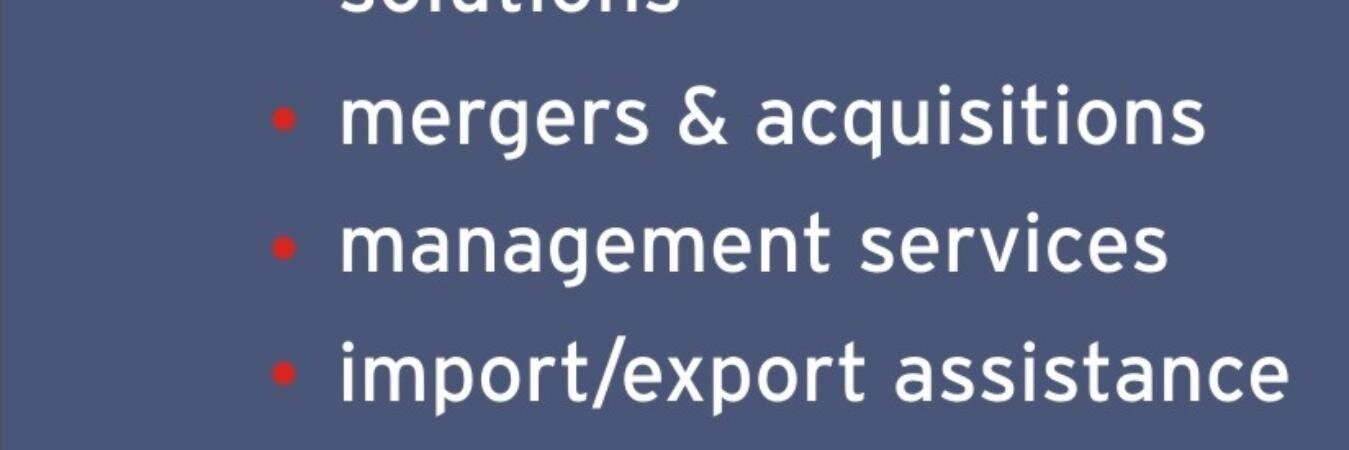 Intertrust Consulting banner