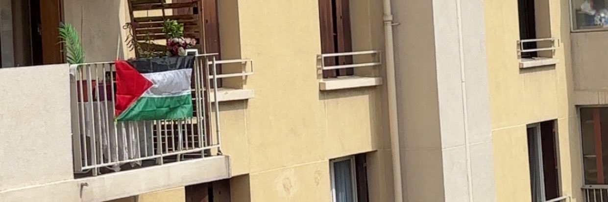 Z9 banner