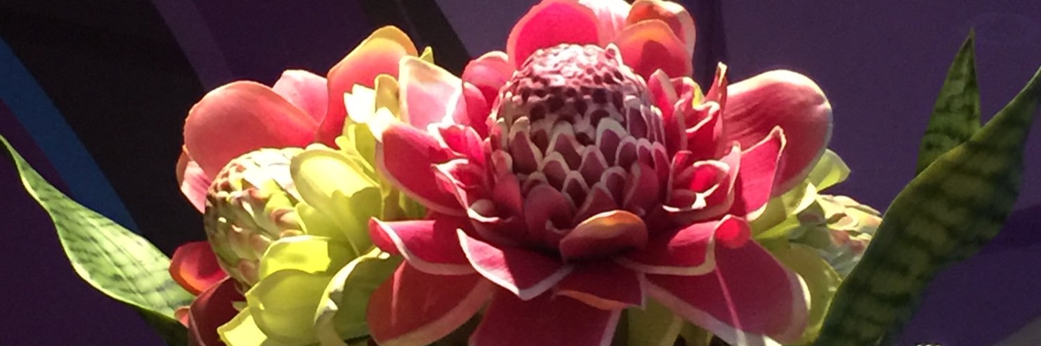 TGsNo1Fan's profile banner image
