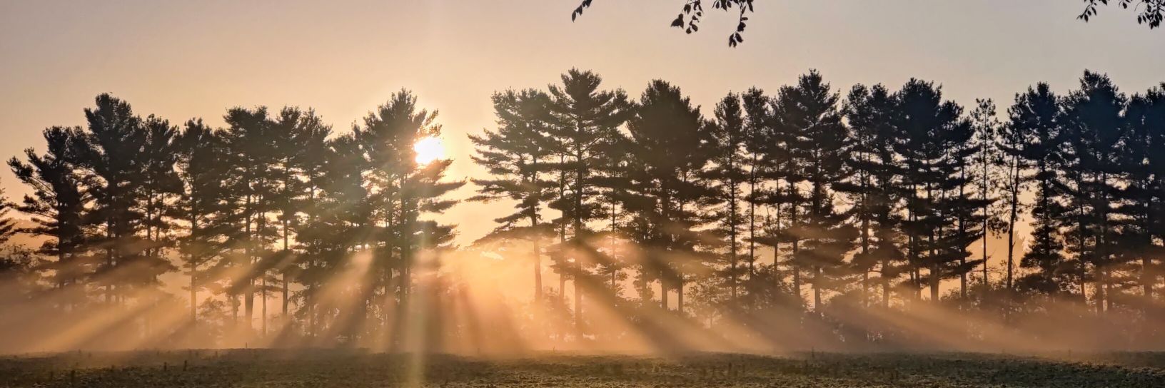 jonpederson's profile banner image